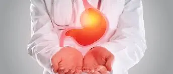 Gastroenterology specialist holding stomach illustration